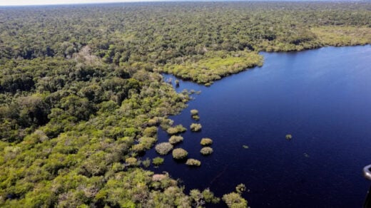 Amazônia Foto - Fabio Rodrigues -Pozzebom/ Agência Brasil