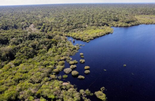 Desmatamento da Amazônia em agosto é o menor em seis anos, diz Inpe