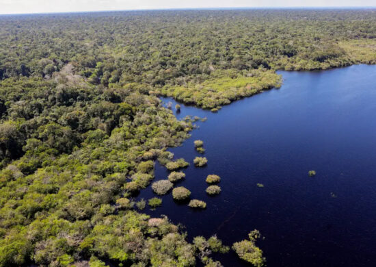 Desmatamento da Amazônia em agosto é o menor em seis anos, diz Inpe