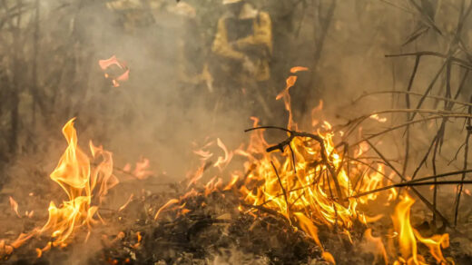 Amazonas bate recorde na emissão de gases estufa por causa de incêndios