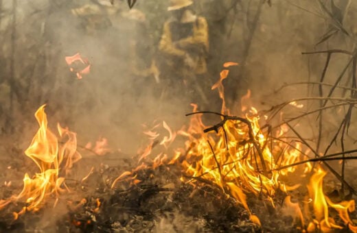 Amazonas bate recorde na emissão de gases estufa por causa de incêndios