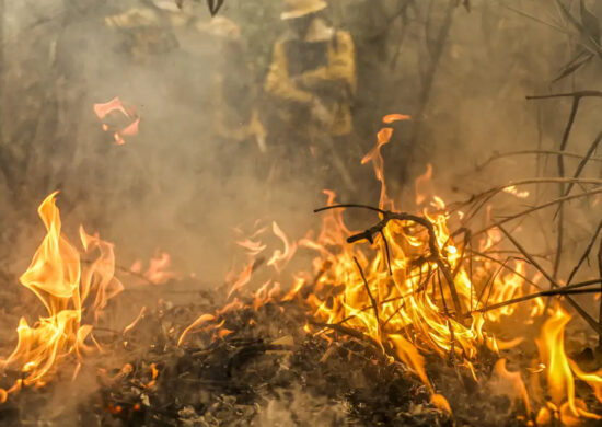 Amazonas bate recorde na emissão de gases estufa por causa de incêndios