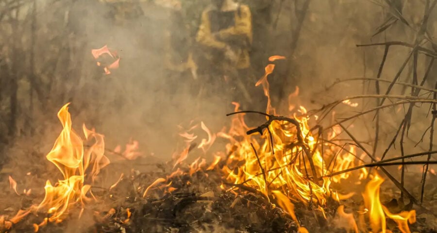 Amazonas bate recorde na emissão de gases estufa por causa de incêndios