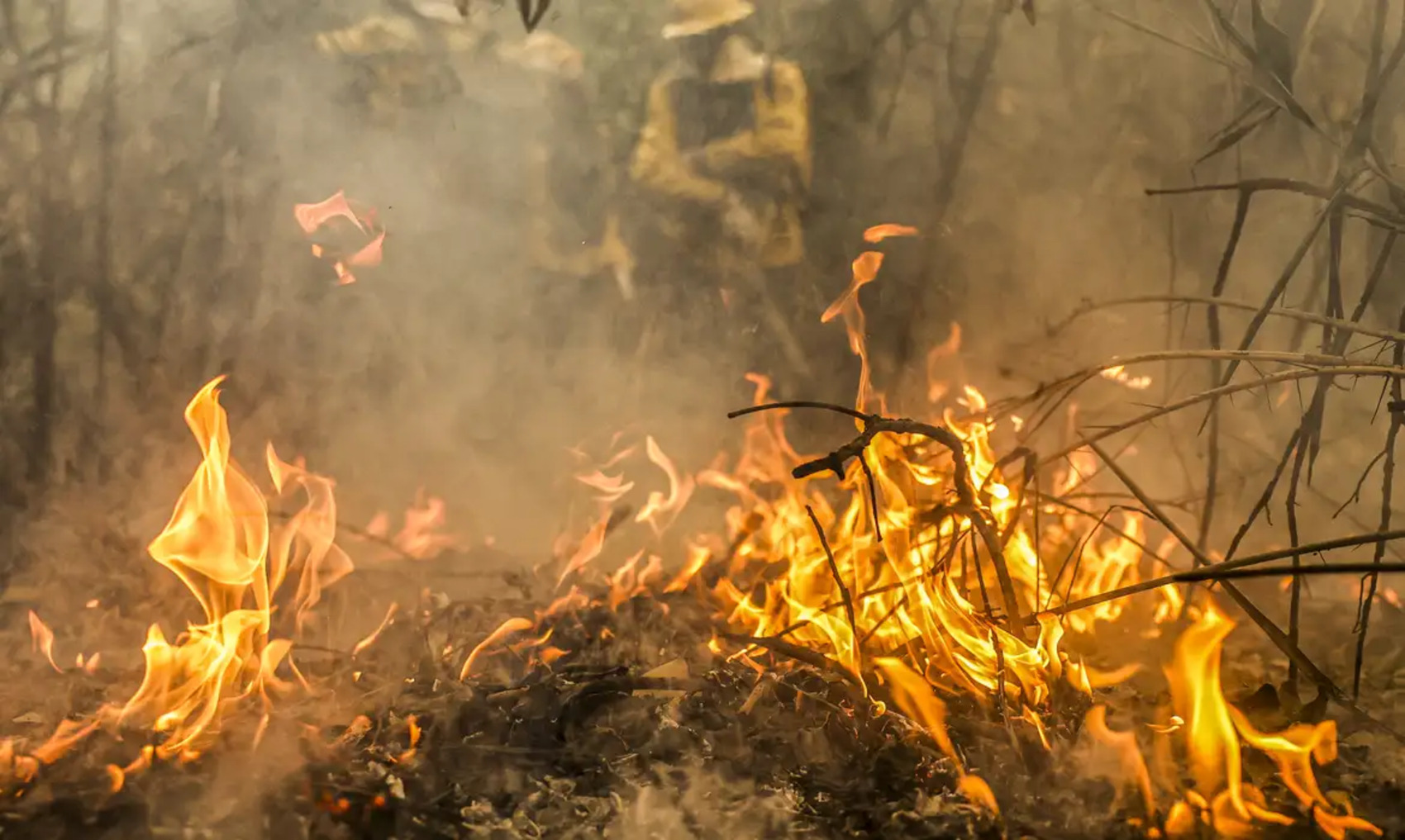 Amazonas bate recorde na emissão de gases estufa por causa de incêndios