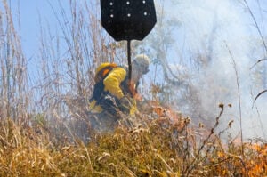 Incêndios se alastram pelo Distrito Federal