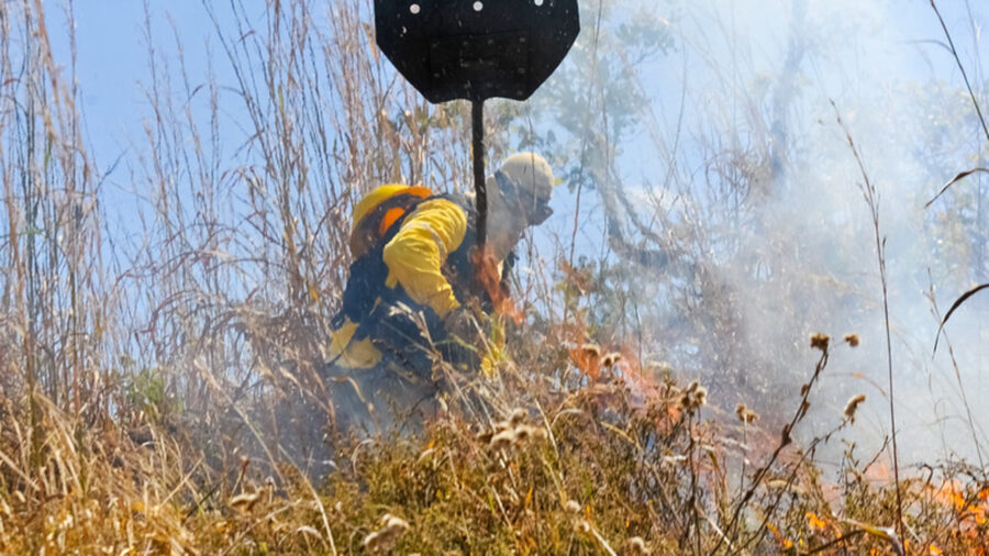 Incêndios se alastram pelo Distrito Federal