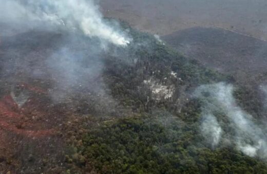 Impacto das queimadas na Amazônia Foto - ICMBIO/Divulgação