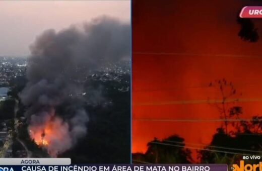 Incêndio de grandes proporções atinge área de mata no Coliseu