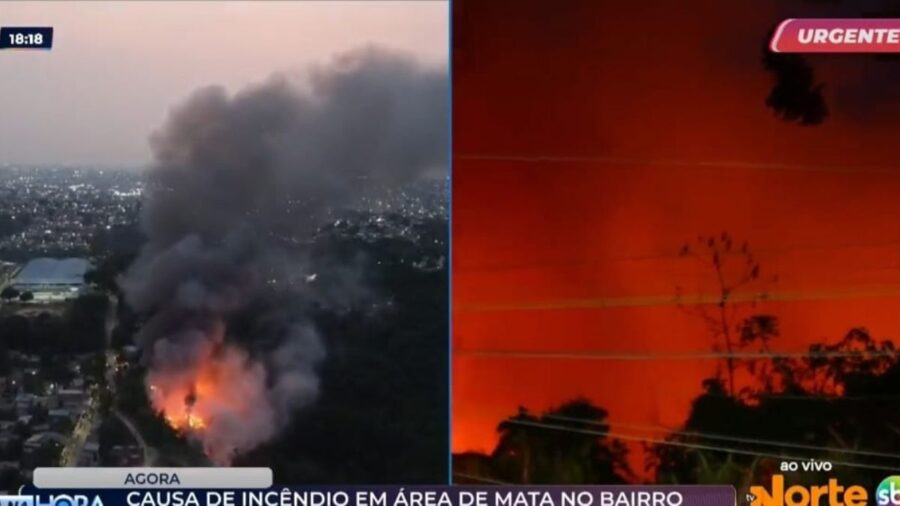 Incêndio de grandes proporções atinge área de mata no Coliseu