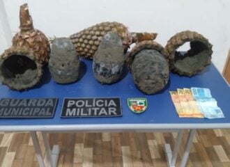 Polícia apreende 5 kg de cocaína em abacaxis no AM