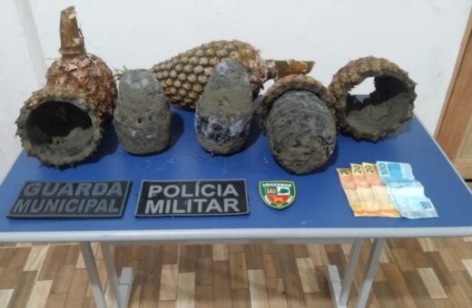 Polícia apreende 5 kg de cocaína em abacaxis no AM