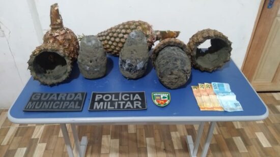 Polícia apreende 5 kg de cocaína em abacaxis no AM