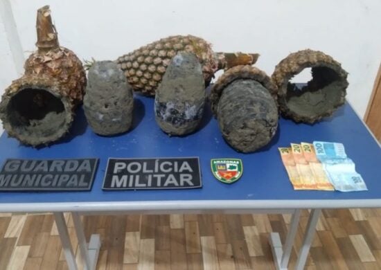 Polícia apreende 5 kg de cocaína em abacaxis no AM