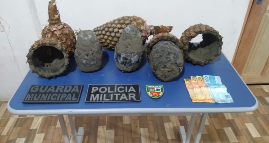 Polícia apreende 5 kg de cocaína em abacaxis no AM