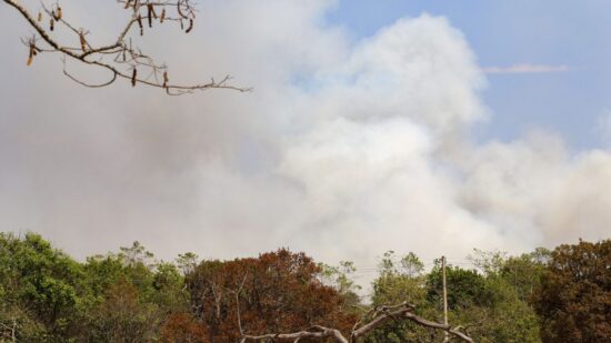 Exército e CBMDF vão atuar juntos no combate ao incêndio do Parque Nacional de Brasília