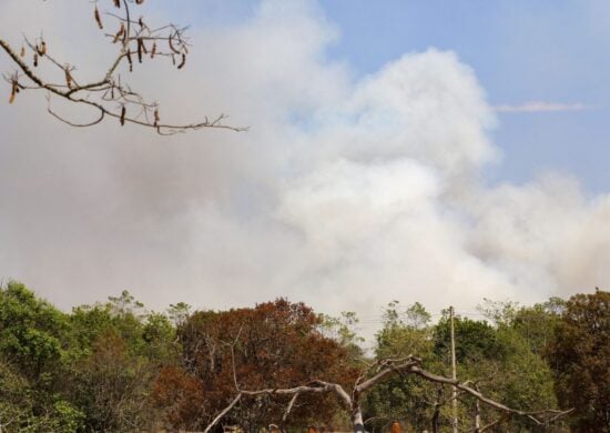 Exército e CBMDF vão atuar juntos no combate ao incêndio do Parque Nacional de Brasília