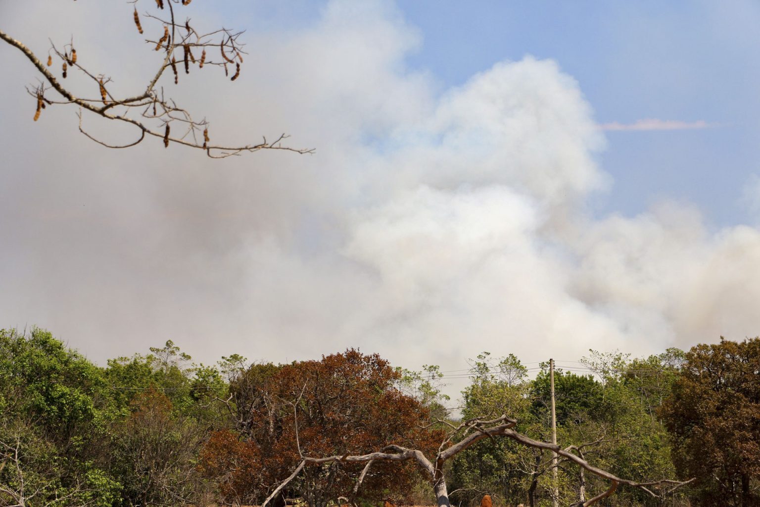 Exército e CBMDF vão atuar juntos no combate ao incêndio do Parque Nacional de Brasília