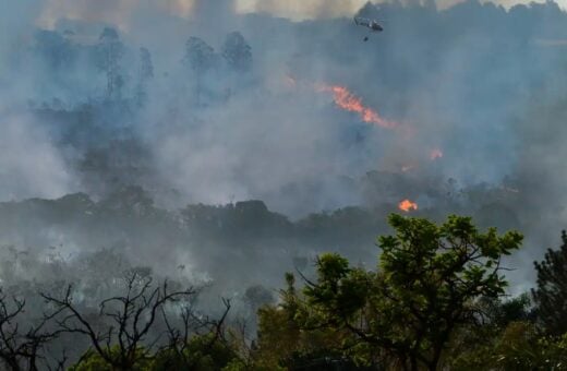 Governo planeja criar centro de resiliência a desastres; entenda