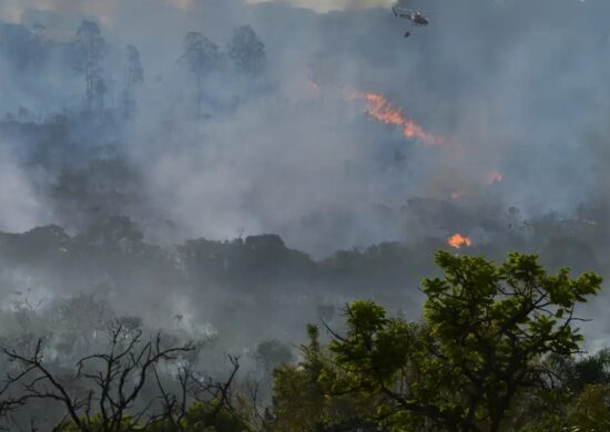 Governo planeja criar centro de resiliência a desastres; entenda