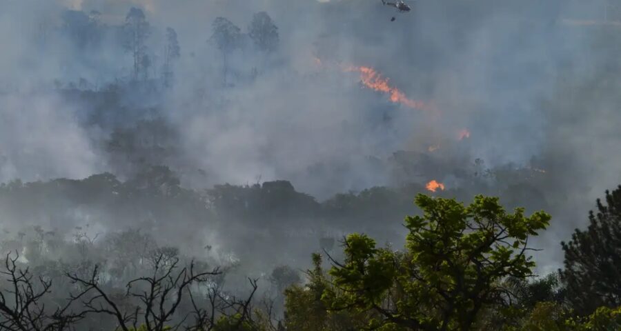 Governo planeja criar centro de resiliência a desastres; entenda