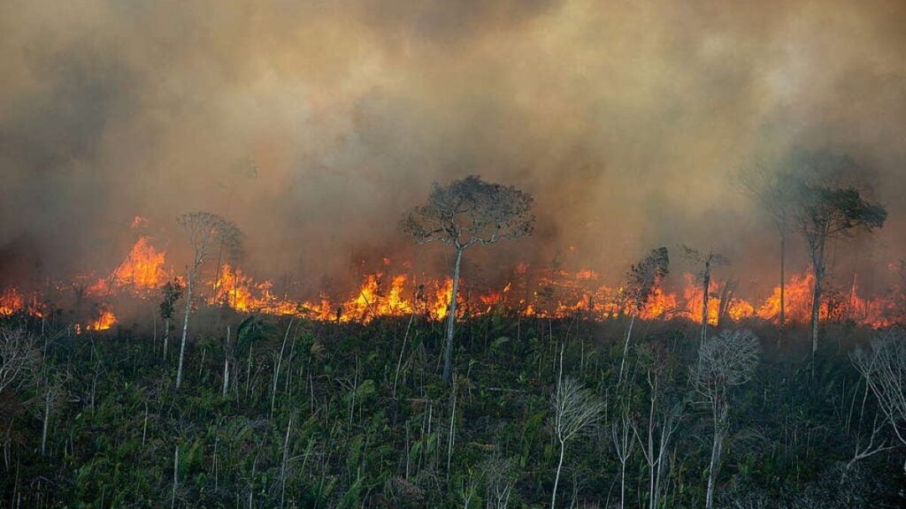 Quiemadas na Amazônia, a situação é considerada grave em 37 municípios