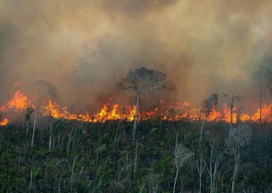 Quiemadas na Amazônia, a situação é considerada grave em 37 municípios