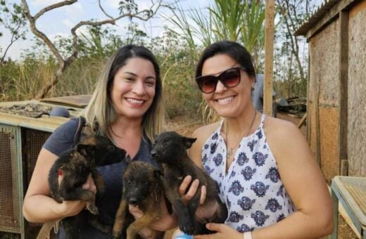 PCDF resgata animais presos em gaiola, sem água e comida