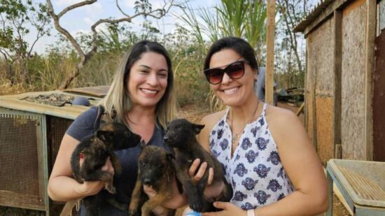 PCDF resgata animais presos em gaiola, sem água e comida