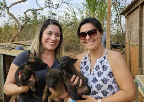 PCDF resgata animais presos em gaiola, sem água e comida