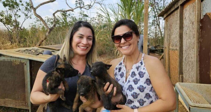 PCDF resgata animais presos em gaiola, sem água e comida