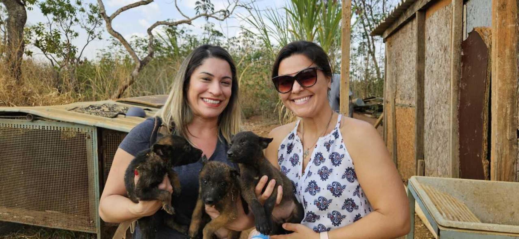 PCDF resgata animais presos em gaiola, sem água e comida