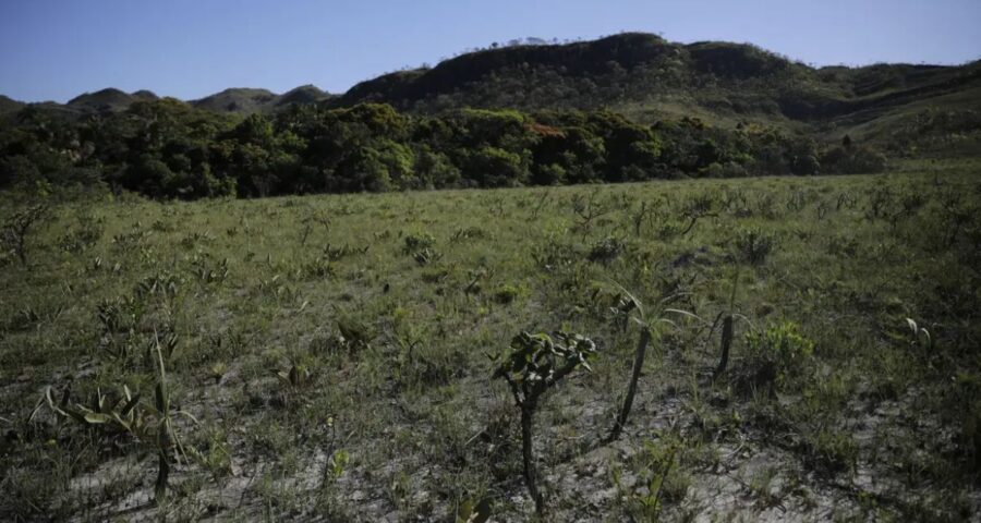 O cerrado é o segundo maior bioma do país - Foto: Joédson Alves/Agência Brasil