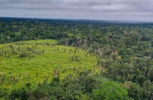 O desmatamento na Amazônia Legal apresentou uma queda de 10,6% neste mês. Foto: Reprodução Agência Brasil