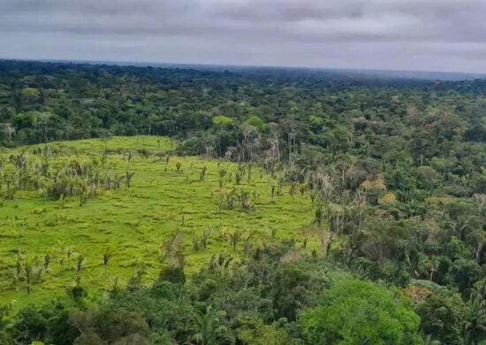 O desmatamento na Amazônia Legal apresentou uma queda de 10,6% neste mês. Foto: Reprodução Agência Brasil