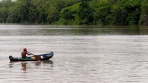 Comemorado em 5 de setembro, o Dia da Amazônia destaca a importância da preservação da maior floresta tropical do planeta