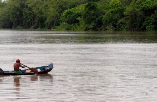 Comemorado em 5 de setembro, o Dia da Amazônia destaca a importância da preservação da maior floresta tropical do planeta