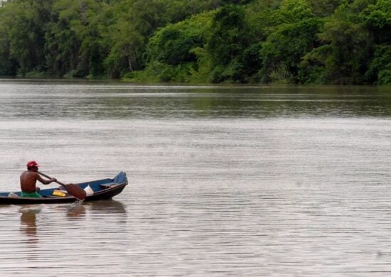 Comemorado em 5 de setembro, o Dia da Amazônia destaca a importância da preservação da maior floresta tropical do planeta