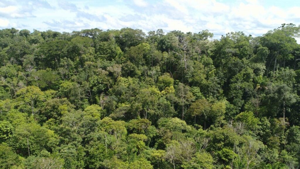 Tocantins já registrou mais de 11 mil focos de queimadas este ano - Foto: Fernando Alves/Governo do Tocantins