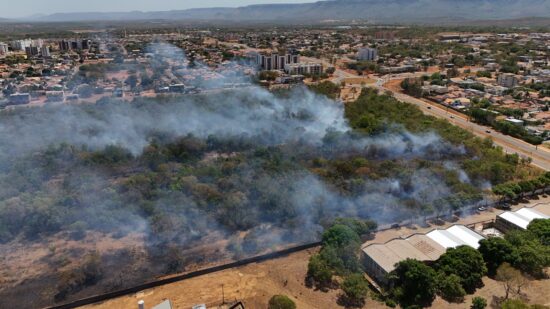 Incêndio começou ainda na noite da terça-feira (10) em Palmas - Foto: Divulgação / Ezequias Peixoto