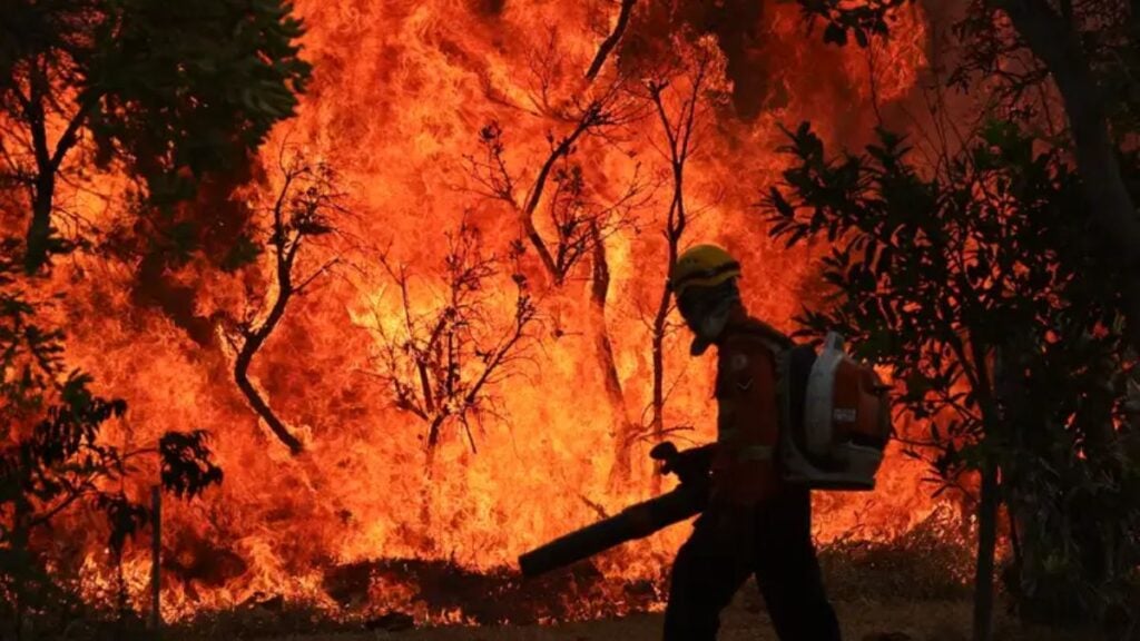 Um Incendio atingiu o Parque Nacional de Brasília. Bombeiros e populares tentavam conter as chamas - Foto: Fabio Rodrigues-Pozzebom/Agência Brasil