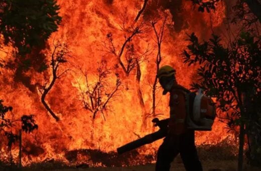 Um Incendio atingiu o Parque Nacional de Brasília. Bombeiros e populares tentavam conter as chamas - Foto: Fabio Rodrigues-Pozzebom/Agência Brasil