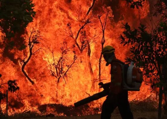 Um Incendio atingiu o Parque Nacional de Brasília. Bombeiros e populares tentavam conter as chamas - Foto: Fabio Rodrigues-Pozzebom/Agência Brasil