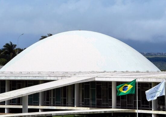 Senadores protocolam projetos de combate às queimadas e propõem rigor para punir responsáveis.