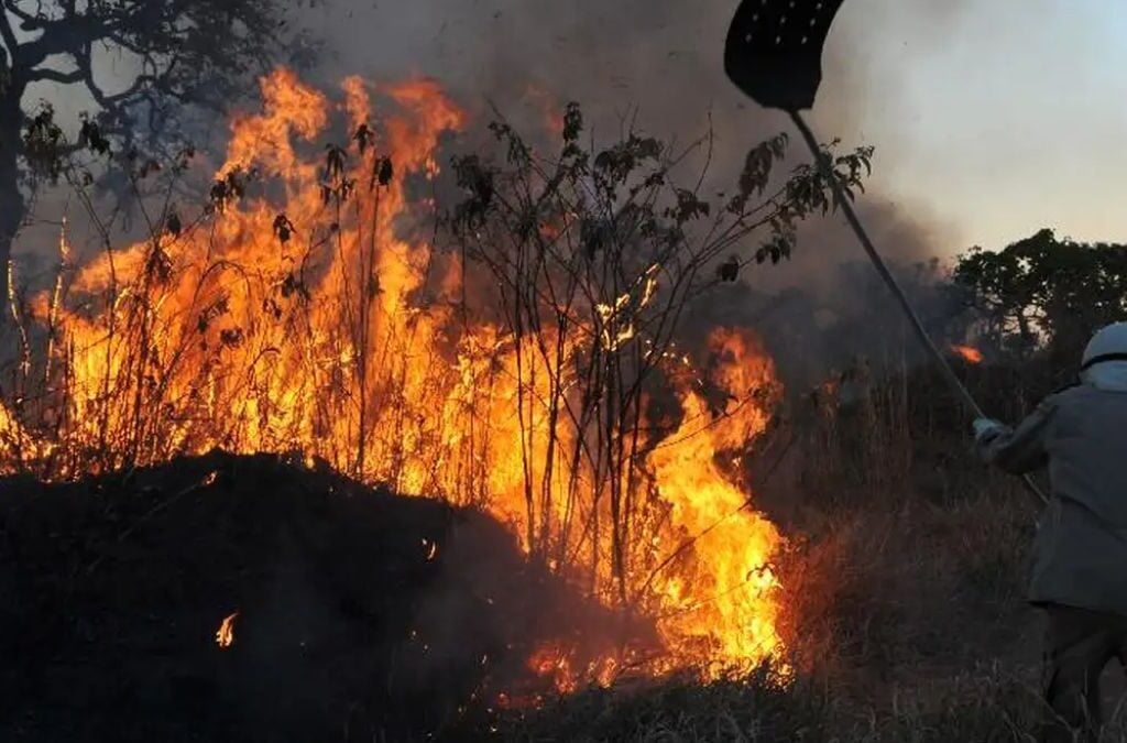 “Cada incêndio, por menor que seja, compromete a flora, a biodiversidade e as bacias hidrográficas” - Foto: Valter Campanato/Agência Brasil