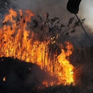 “Cada incêndio, por menor que seja, compromete a flora, a biodiversidade e as bacias hidrográficas” - Foto: Valter Campanato/Agência Brasil