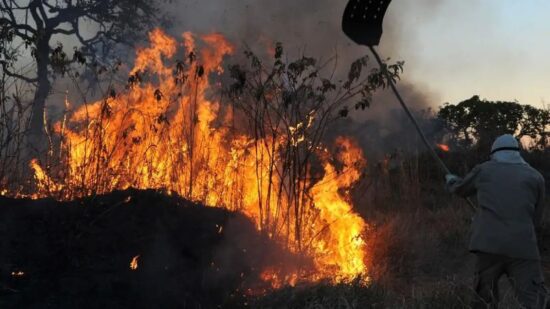 “Cada incêndio, por menor que seja, compromete a flora, a biodiversidade e as bacias hidrográficas” - Foto: Valter Campanato/Agência Brasil