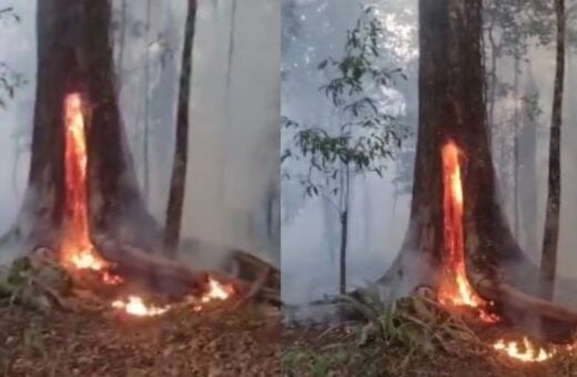 O incêndio desesperou os moradores da área em Manaus. Foto: Reprodução Internet