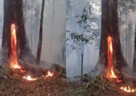 O incêndio desesperou os moradores da área em Manaus. Foto: Reprodução Internet