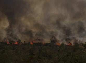 Desmatamento na Amazônia