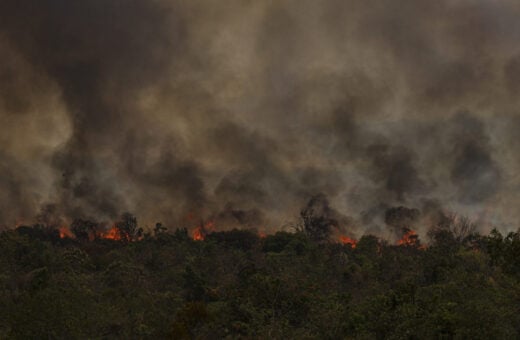 9 das 10 cidades são da Amazônia, e sete fazem parte da lista dos municípios com mais desmatamento neste ano, de acordo com dados do Inpe.